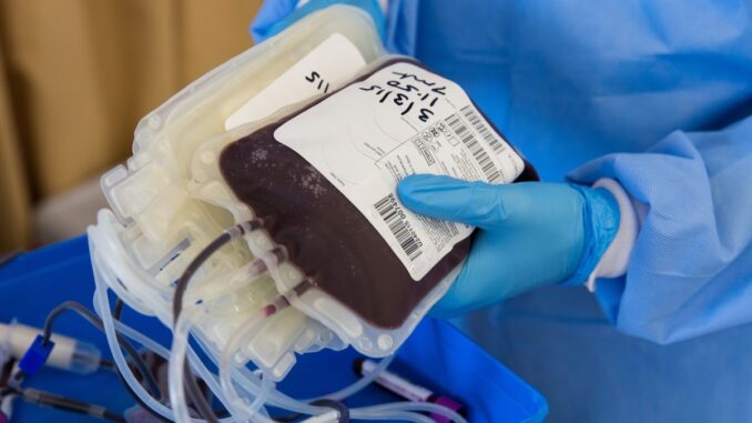 blood-4951009_1280