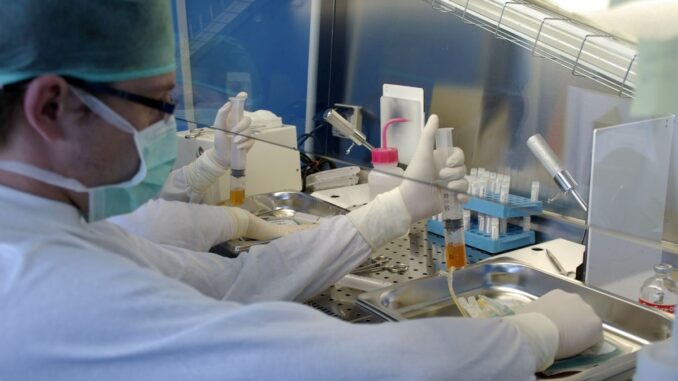 Cord Blood Center
